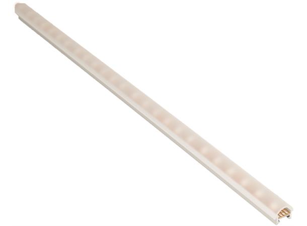 16698